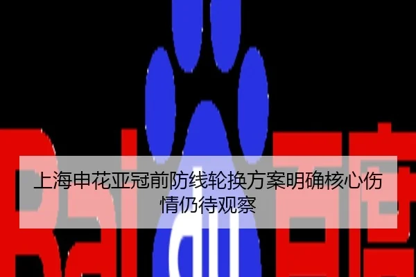 上海申花亚冠前防线轮换方案明确核心伤情仍待观察