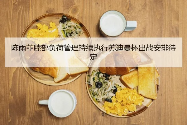 陈雨菲膝部负荷管理持续执行苏迪曼杯出战安排待定